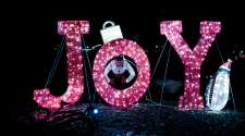 Happy Holidays