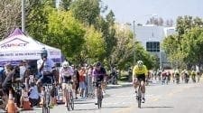 Majestic Criterium