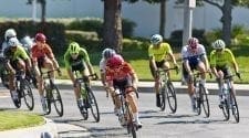 Majestic Criterium # 3
