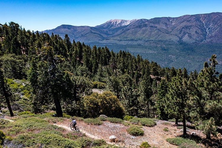 Get ready for the Dirty Burro 50K at the Tour de Big Bear Mountain Bike Race, featuring exhilarating trails and scenic views.