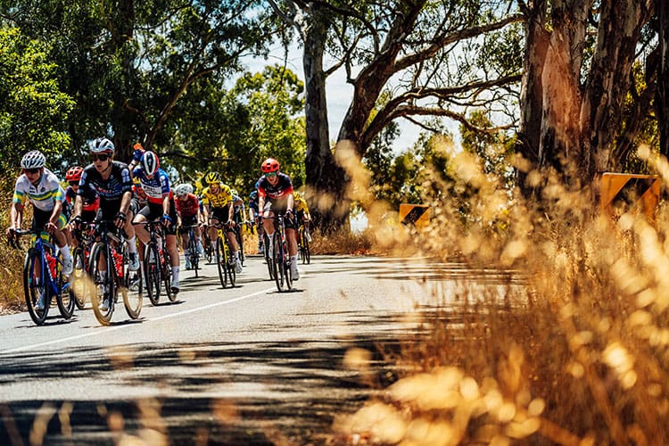 Ally Wollaston shines at the Santos Tour Down Under Women's Race, facing challenges ahead with determination and team support.